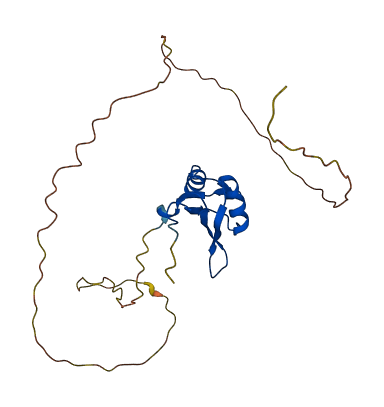 RBM24 3D structure