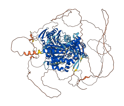 BRIP1 3D structure