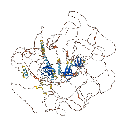 SORBS1 3D structure