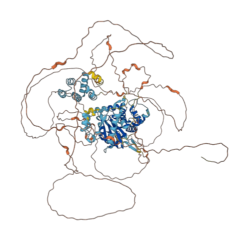 CARD6 3D structure