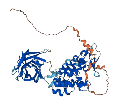 BTBD2 3D structure