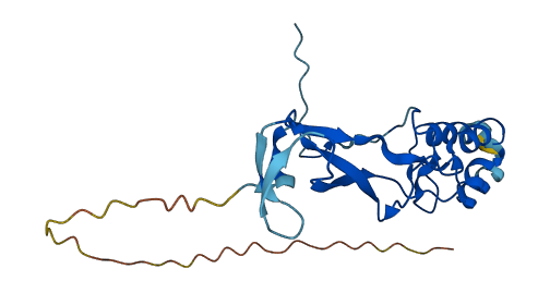 TM2D1 3D structure