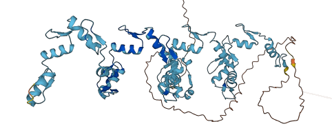 ZNF471 3D structure