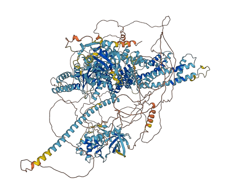 TRPM6 3D structure