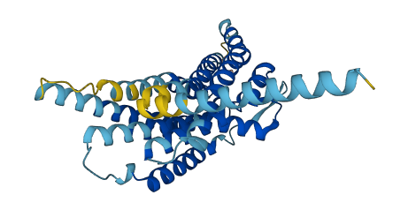 SUCNR1 3D structure