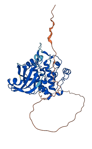 TSSK1B 3D structure