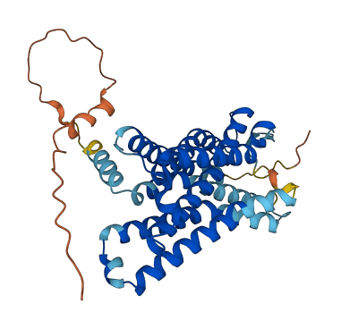 HCAR1 3D structure