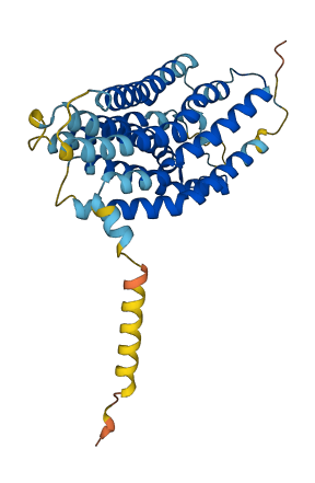 GPR174 3D structure