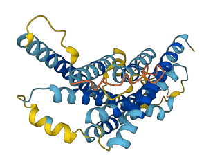 VN1R3 3D structure