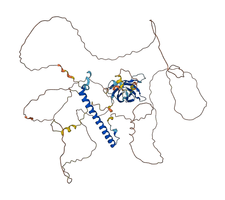 RAB11FIP5 3D structure
