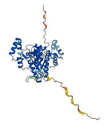 NT5C1A 3D structure