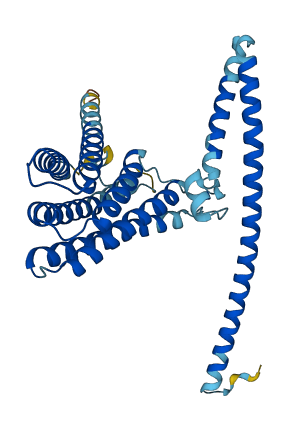 TMEM120A 3D structure
