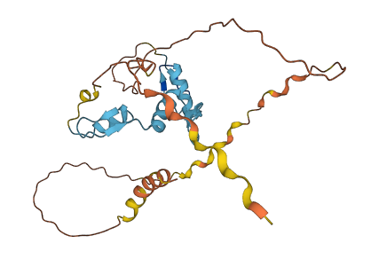 KLF16 3D structure