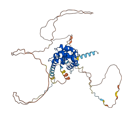 BCL2L13 3D structure