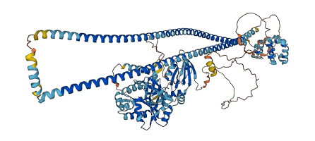 CARD14 3D structure