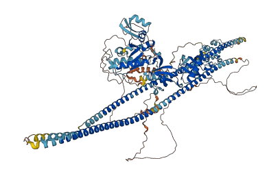 CARD11 3D structure