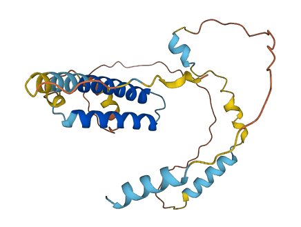 CDCA4 3D structure