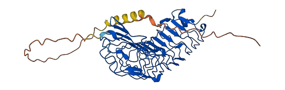 ASPN 3D structure
