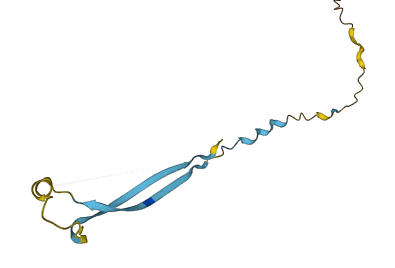 SPANXD 3D structure