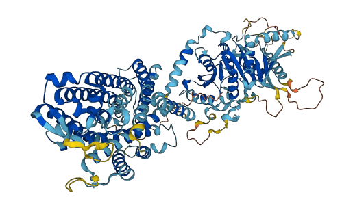 SLC12A9 3D structure