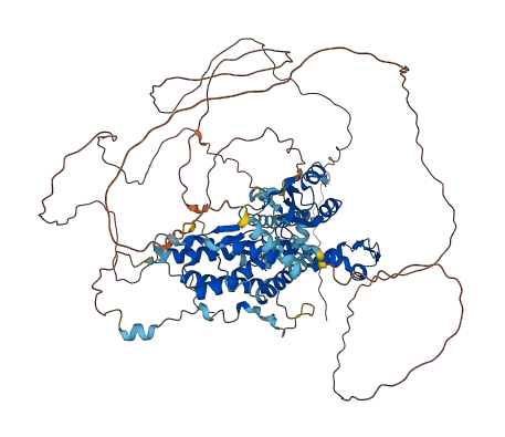 SRRT 3D structure