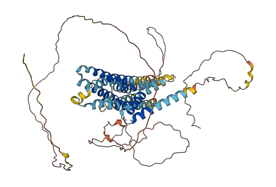 TMEM121B 3D structure