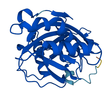 IDI2 3D structure