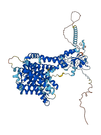 SLC26A6 3D structure