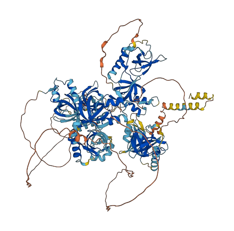 TDRD1 3D structure