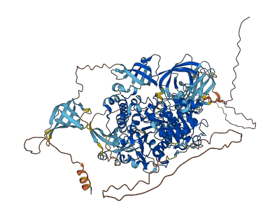 MOV10L1 3D structure