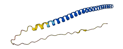 TEX12 3D structure