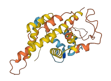 CALN1 3D structure