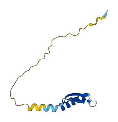 GON7 3D structure