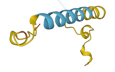 SNHG12 3D structure