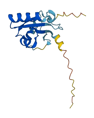 MAP1LC3C 3D structure