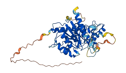HDHD5 3D structure