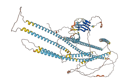 EMILIN2 3D structure