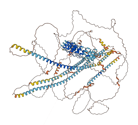 ANKRD30B 3D structure