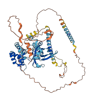 CAPS2 3D structure