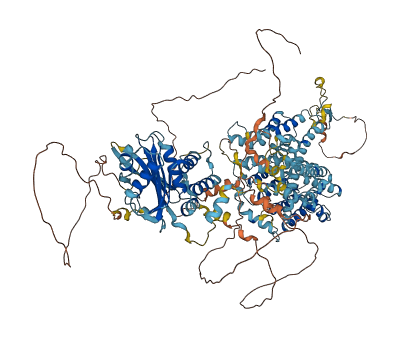 SLC4A5 3D structure