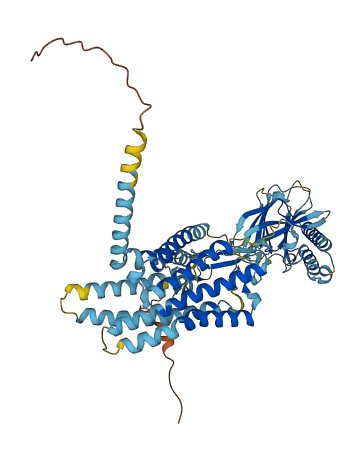 ADGRE3 3D structure