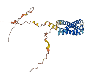 MS4A8 3D structure