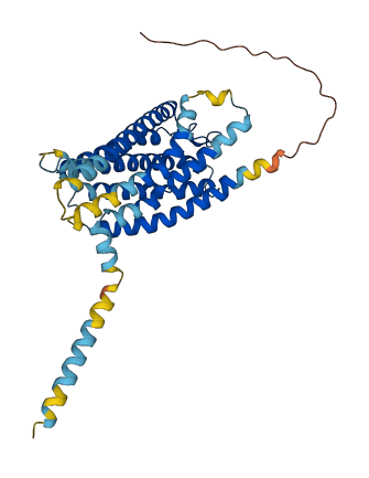 GPR87 3D structure