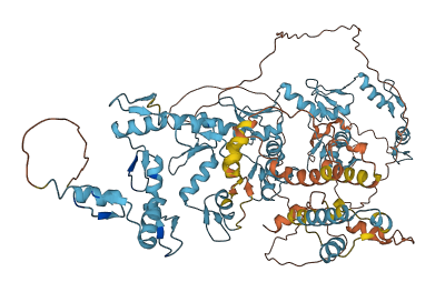 ZNF717 3D structure