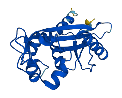 ITPA 3D structure