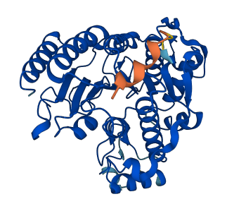 HDAC8 3D structure