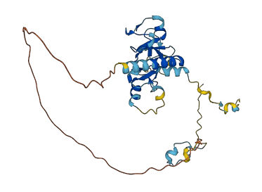 RTF2 3D structure