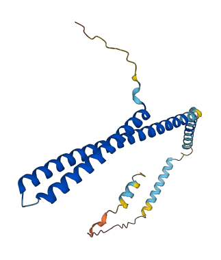 CHMP4A 3D structure