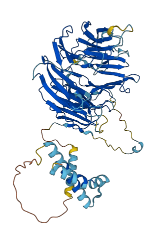 EIF2A 3D structure