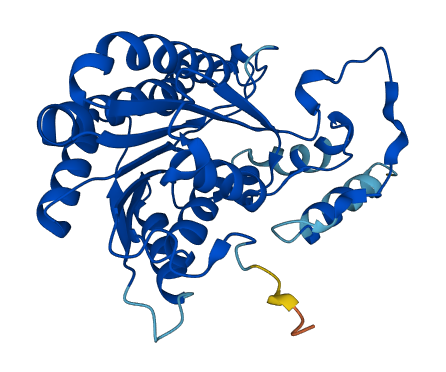 PECR 3D structure